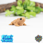 Flexi Friend Baby Bearded Dragon - Flexible 3D Printed Toy