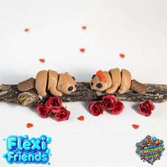 Flexi Friends Mr & Mrs Beaver - Flexible 3D Printed Toy - The 3D Print Smiths
