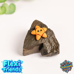 Flexi Friend Starfish - Flexible 3D Printed Toy - The 3D Print Smiths