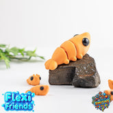 Flexi Friend Baby Shrimp - Flexible 3D Printed Toy